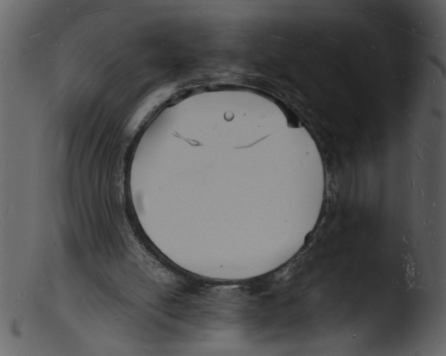 X0000103290054200809261259