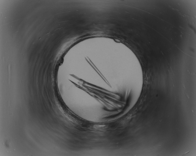 X0000103290055200809261259