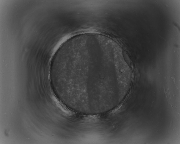 X0000103290056200809261259