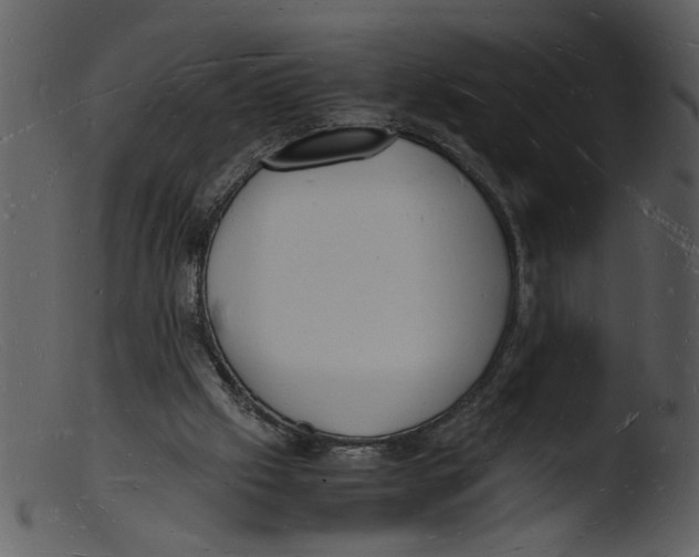 X0000103290057200809261259