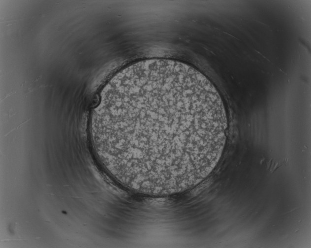X0000103290058200809261259