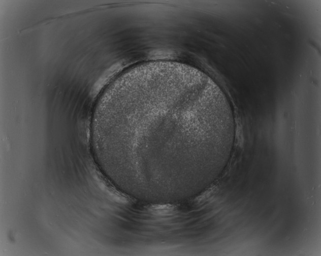 X0000103290059200809261259