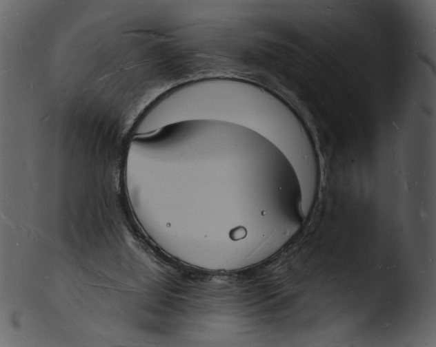 X0000103290060200809261259
