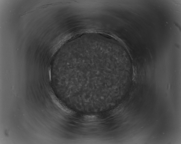 X0000103290061200809261259