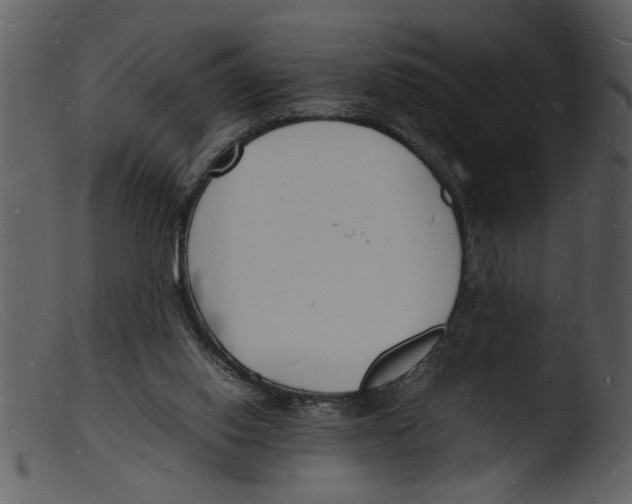 X0000103290062200809261259