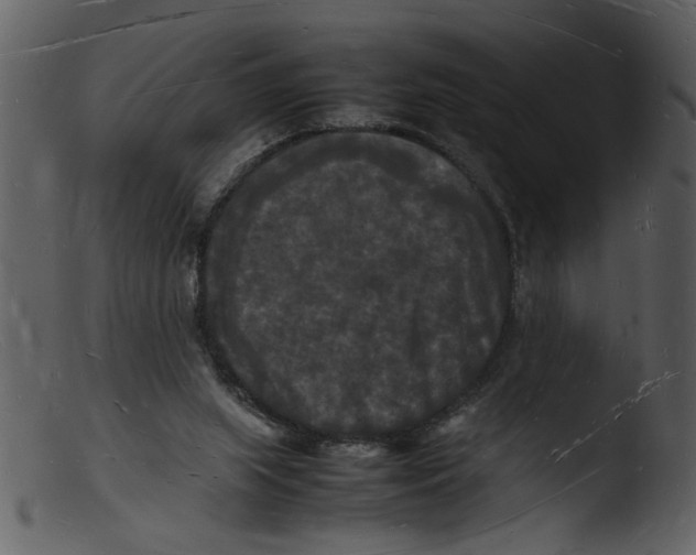 X0000103290063200809261259