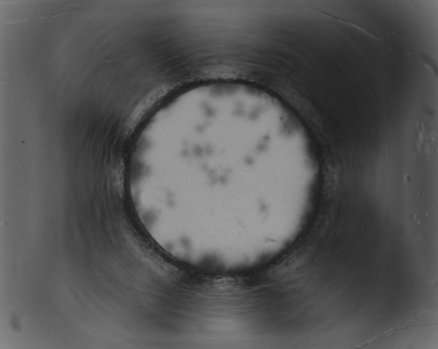X0000103290064200809261259