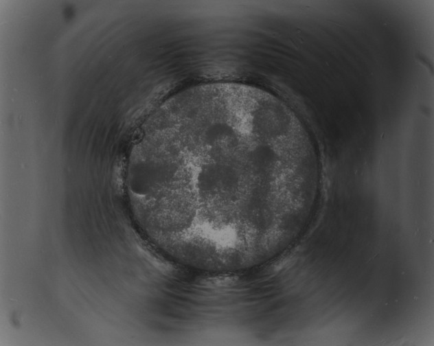 X0000103290065200809261259