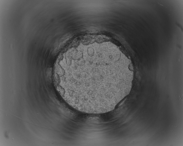 X0000103290066200809261259