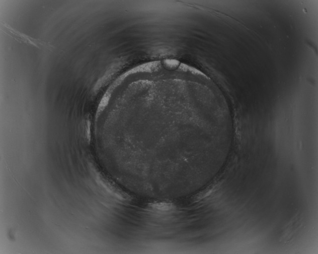 X0000103290067200809261259