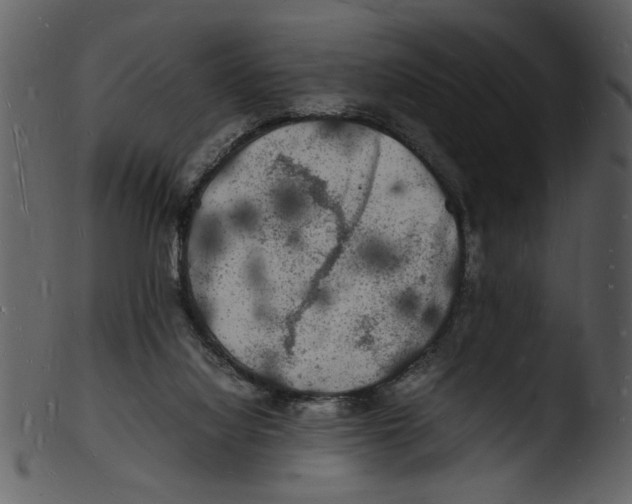 X0000103290068200809261259