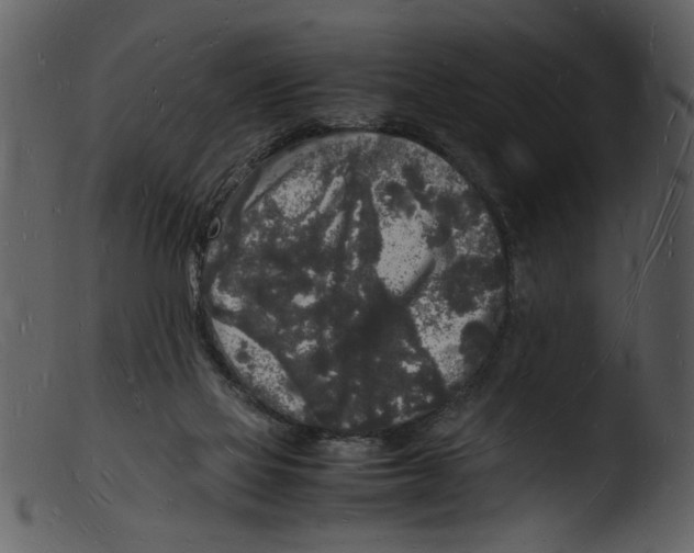 X0000103290069200809261259