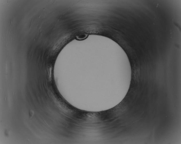 X0000103290070200809261259