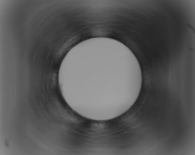 X0000103290071200809261259