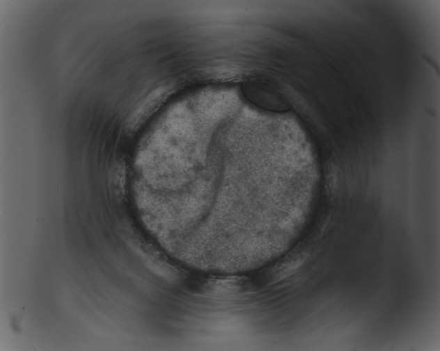 X0000103290072200809261259