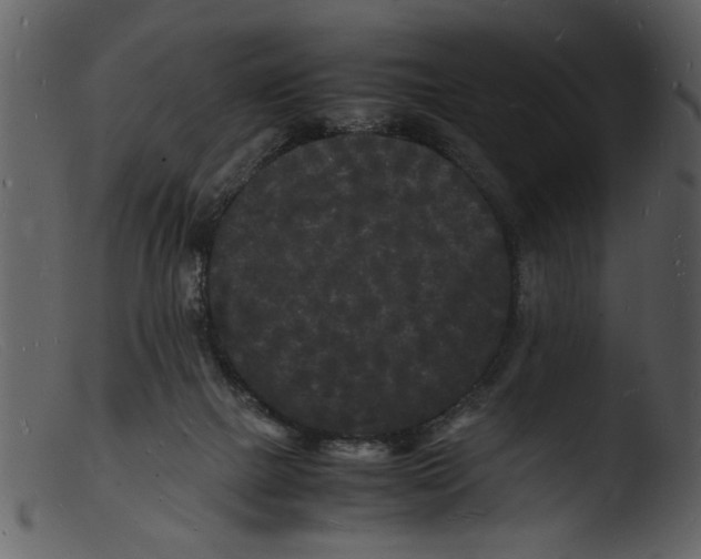 X0000103290073200809261259