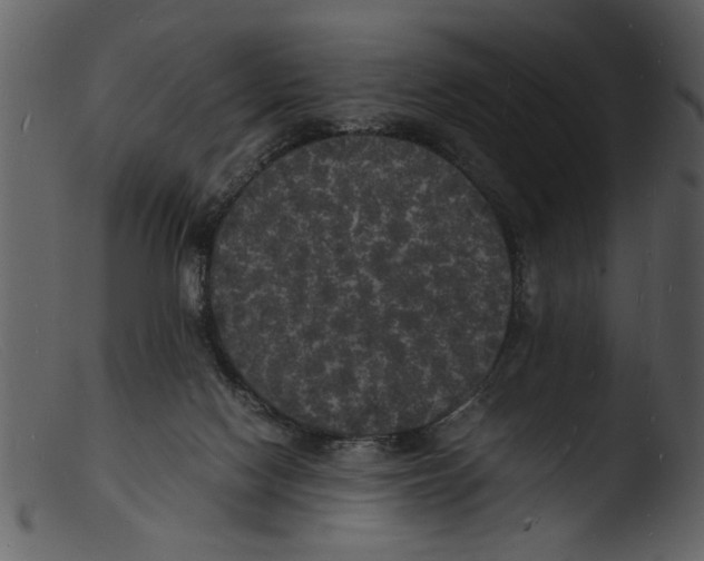 X0000103290074200809261259