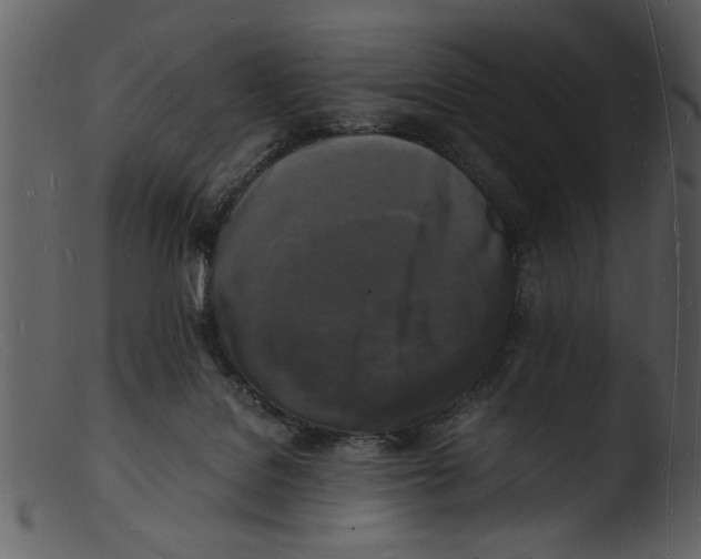 X0000103290076200809261259