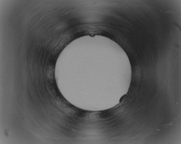 X0000103290078200809261259