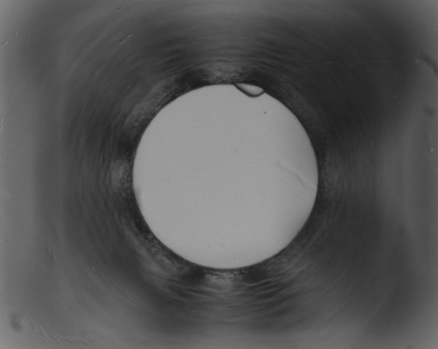 X0000103290079200809261259