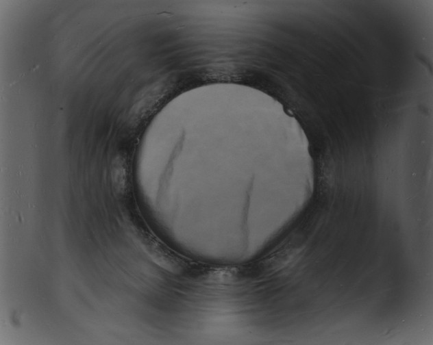 X0000103290080200809261259