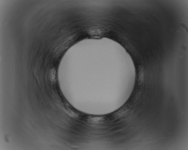 X0000103290081200809261259