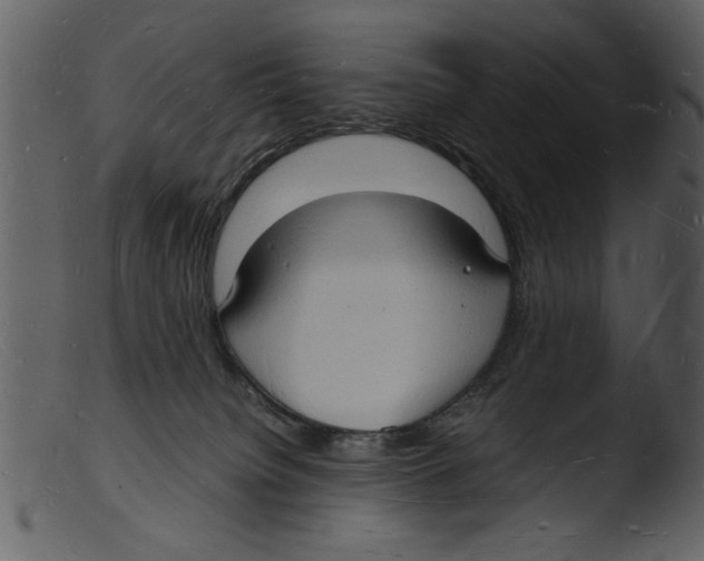 X0000103290084200809261300