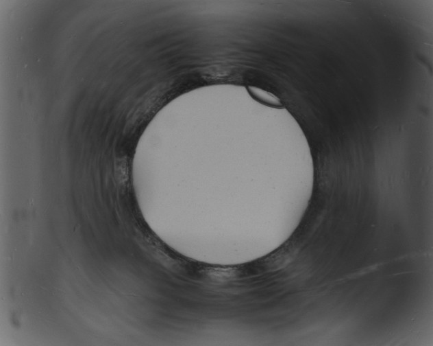 X0000103290085200809261300