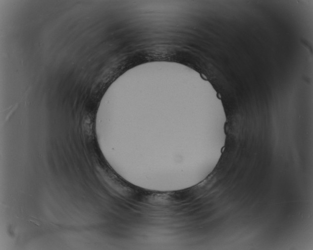 X0000103290086200809261300