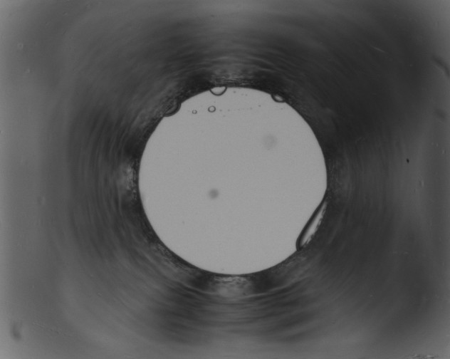 X0000103290087200809261300
