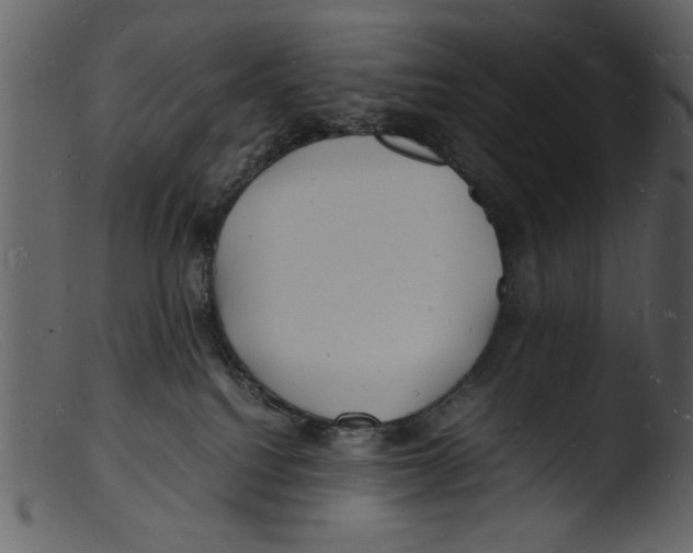 X0000103290088200809261300