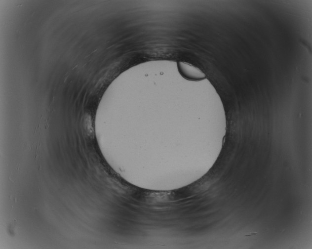 X0000103290089200809261300
