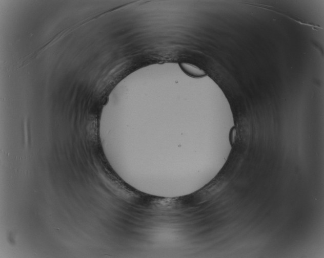 X0000103290092200809261300