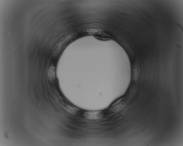 X0000103290093200809261300