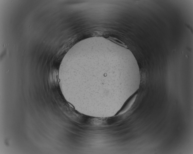 X0000103290094200809261300