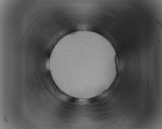 X0000103290095200809261300