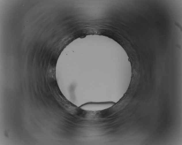 X0000103290096200809261300