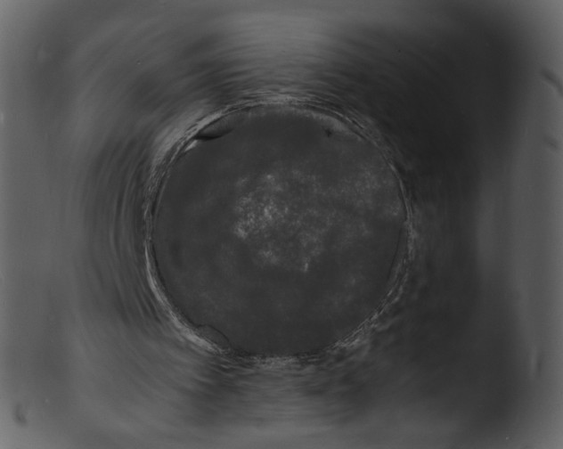 X0000103290097200809261259