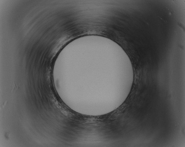 X0000103290098200809261259