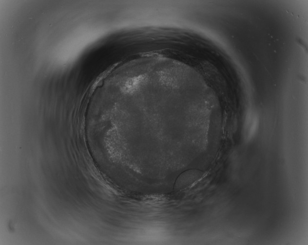 X0000103290099200809261259