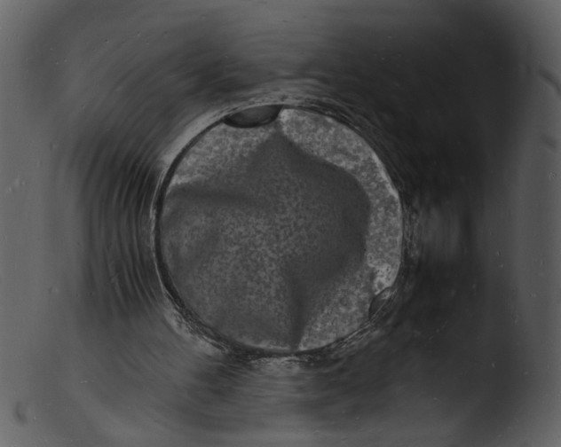 X0000103290100200809261259
