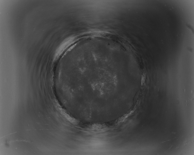 X0000103290101200809261259