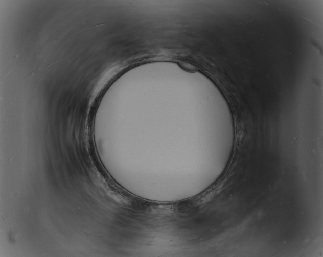 X0000103290102200809261259