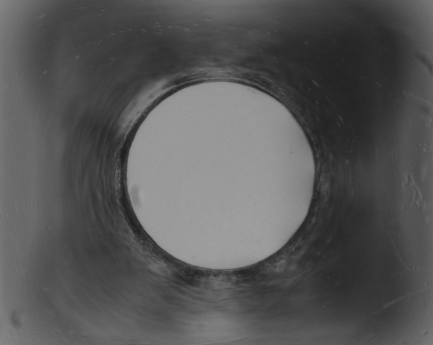 X0000103290103200809261259