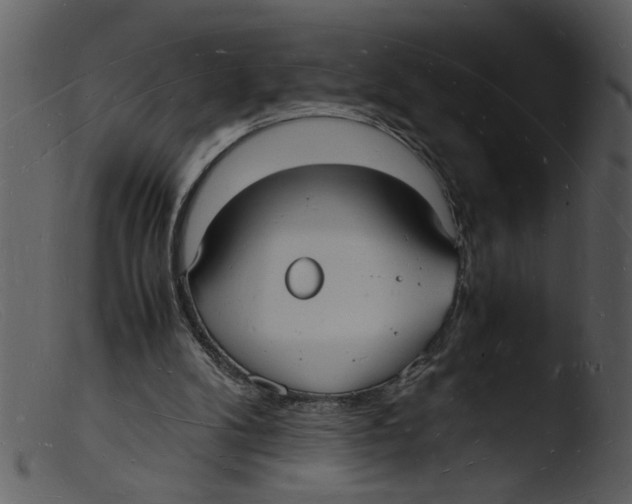 X0000103290104200809261259