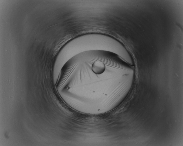 X0000103290105200809261259