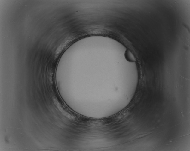 X0000103290106200809261259
