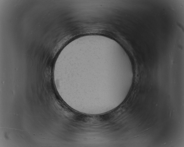 X0000103290107200809261259