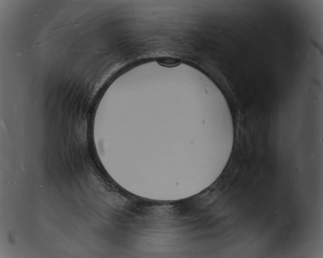 X0000103290108200809261259