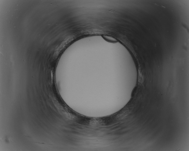 X0000103290109200809261259